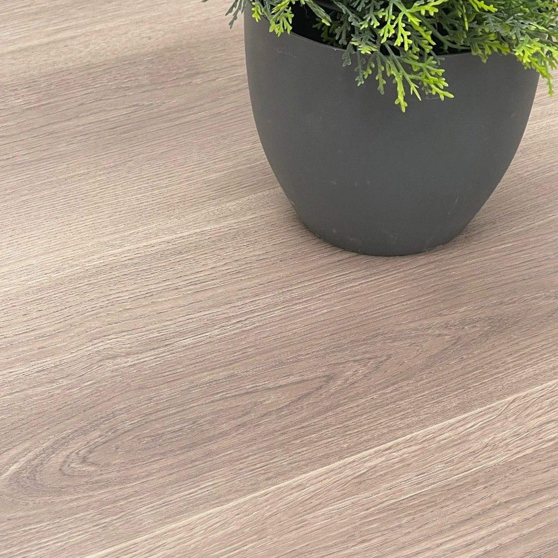 Close-up of Dusky Oak Prestige Plus Laminate Flooring with a plant pot in the background.
