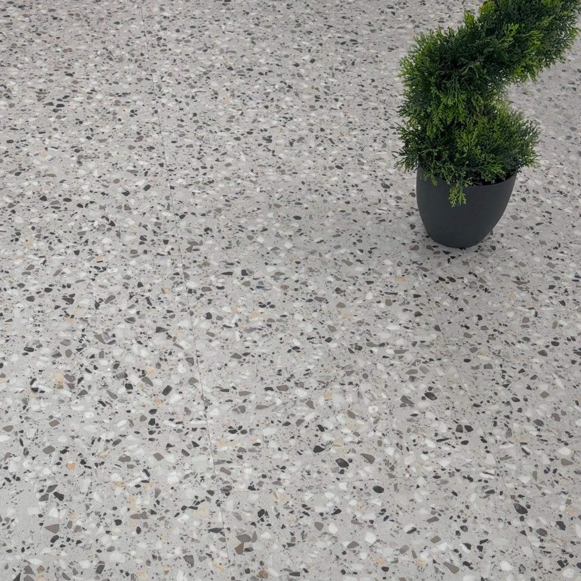 Milano Terrazzo Rigid LVT Floor Tiles on a floor with a plant in the corner.