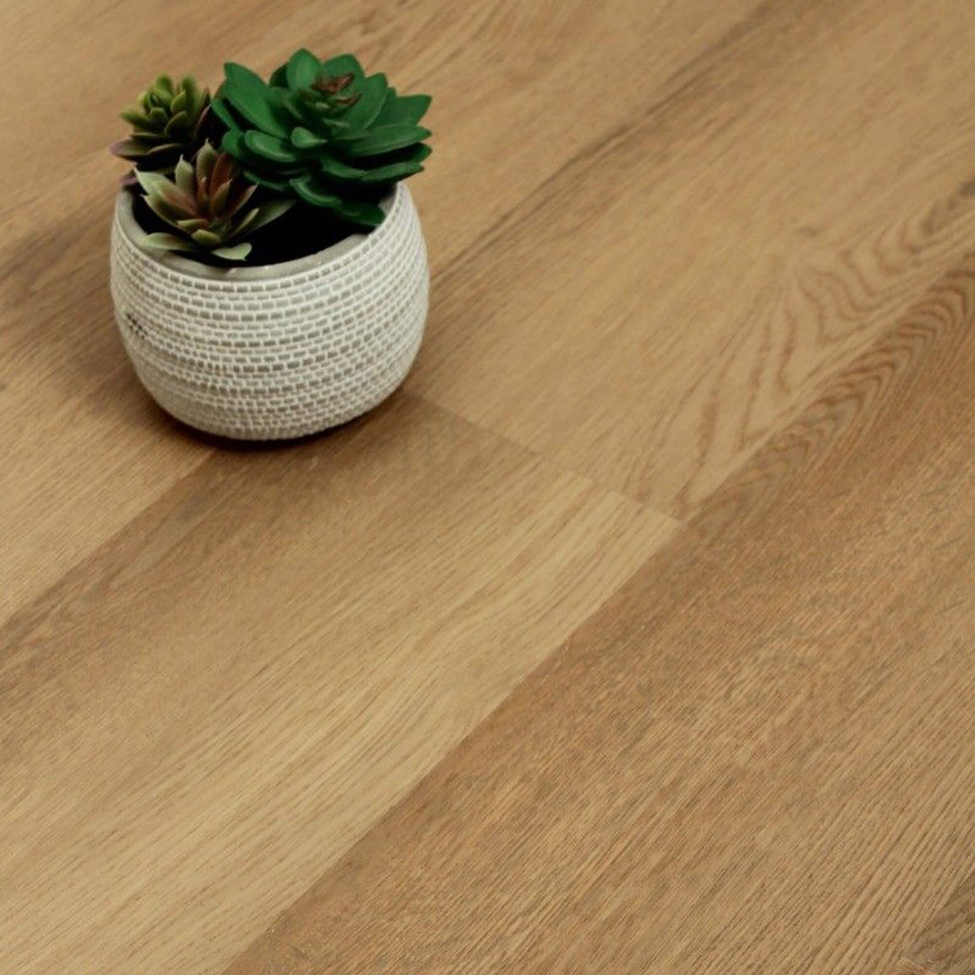 Small potted plant on a New England Oak Rigid LVT floor 