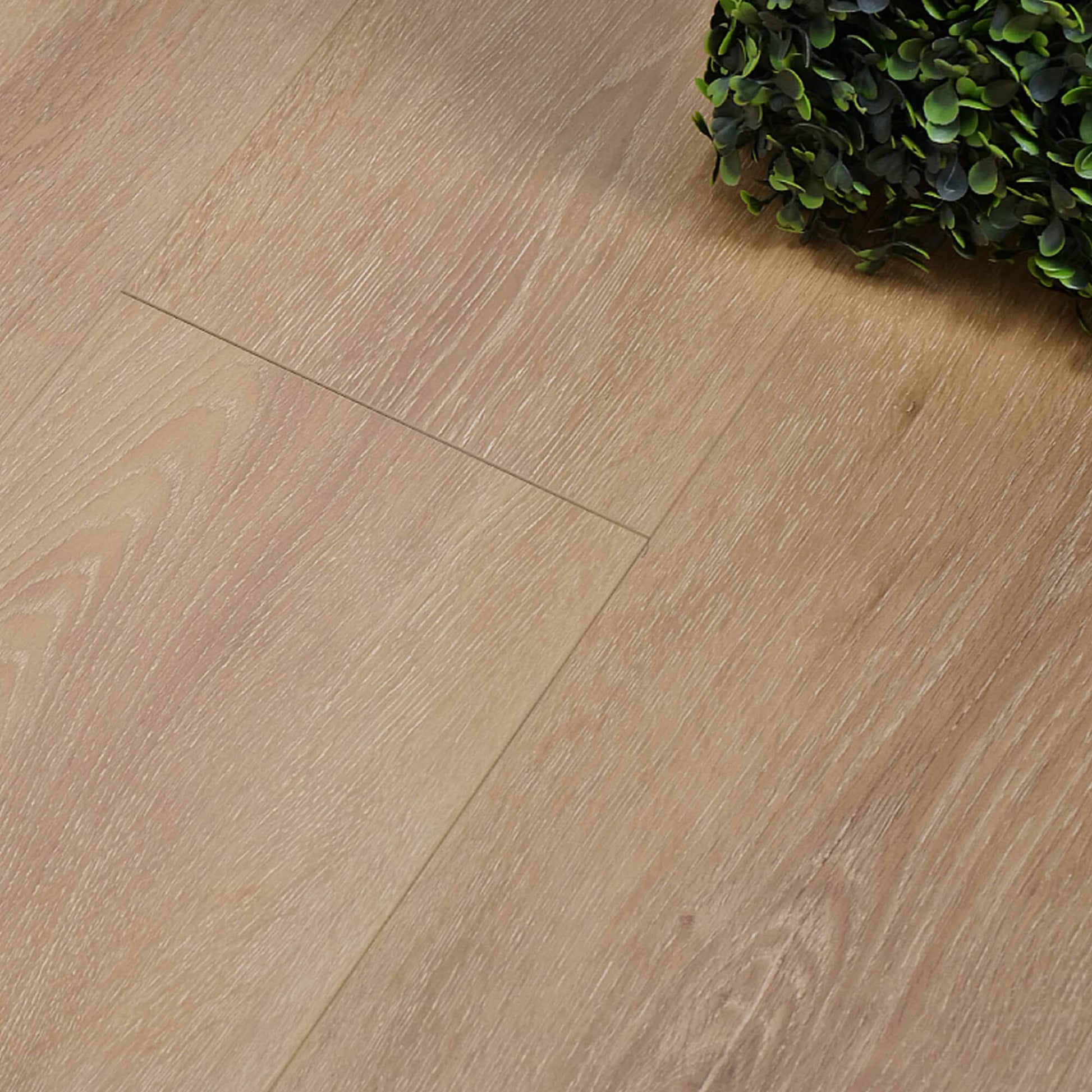 Close-up of New England Oak Prestige laminate flooring with a plant in the corner