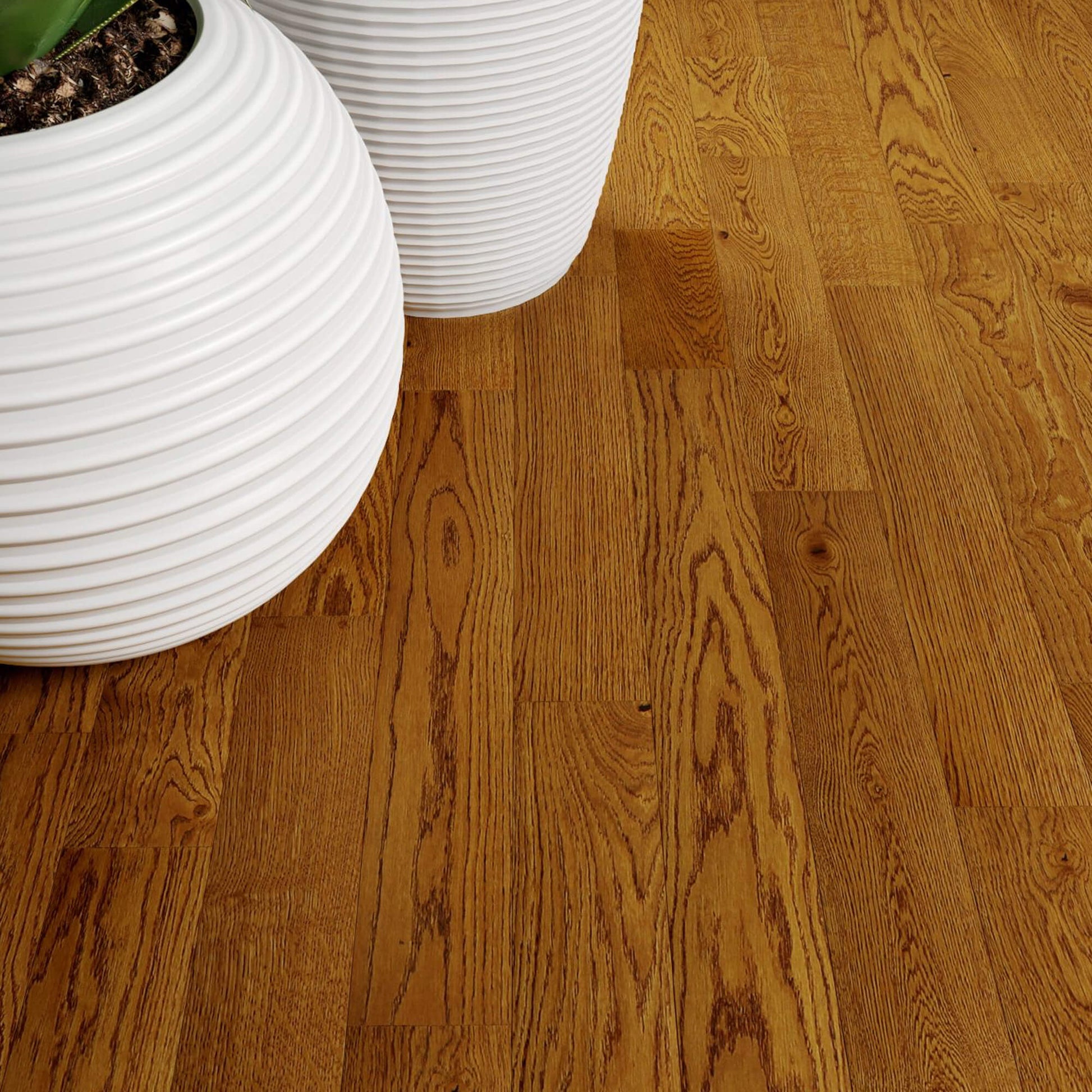Nutmeg Oak Lacquered Engineered Wood Flooring with white plant pots 