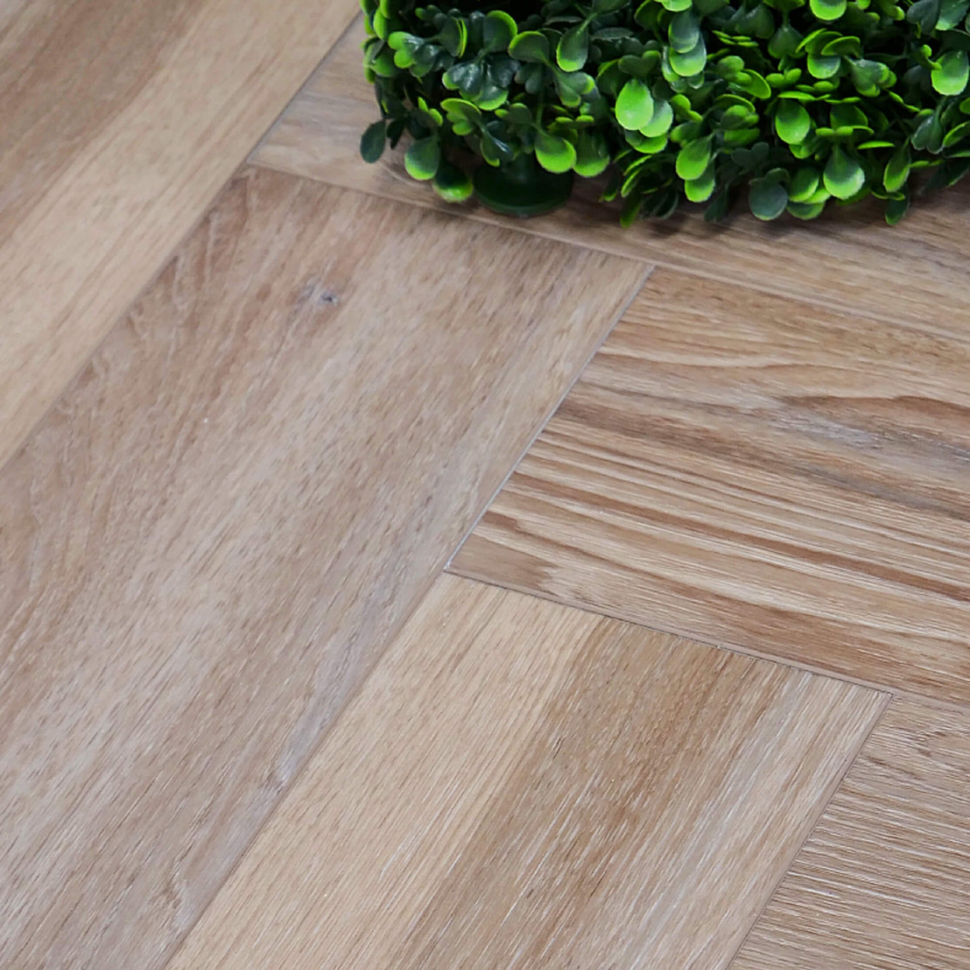 Close-up of Volcanic Larch Rigid LVT Herringbone Flooring with a green plant in the corner.
